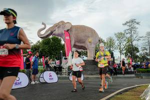 BIB: 
                            <button type="button" onclick="openModal(26528349)" class="btn btn-primary btn-sm float-right btn-popup" data-toggle="modal" data-target=".modal-high-quality">
                        <i class="fas fa-shopping-cart"></i> Add to Cart
                    </button>
                                            <button type="button" onclick="isThisMe(26528349, true)" class="btn btn-success btn-sm float-right btn-popup btn-isme hidden" data-toggle="tooltip" data-placement="bottom" title="นี่คือรูปของคุณใช่ไหม คลิกที่นี่เพื่อเอาเข้าอัลบั้ม">
                        <i class="fas fa-plus"></i> Add to album
                    </button>
                    <button type="button" onclick="isThisMe(26528349, false)" class="btn btn-warning btn-sm float-right btn-popup btn-isnotme hidden">
                        <i class="fas fa-ban"></i> Remove from album
                    </button>